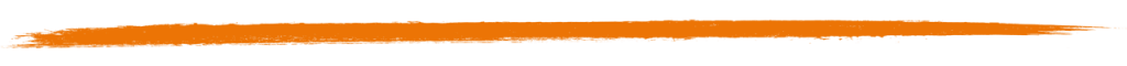 Brushorange Unterstrich E1787954411690 1024x60